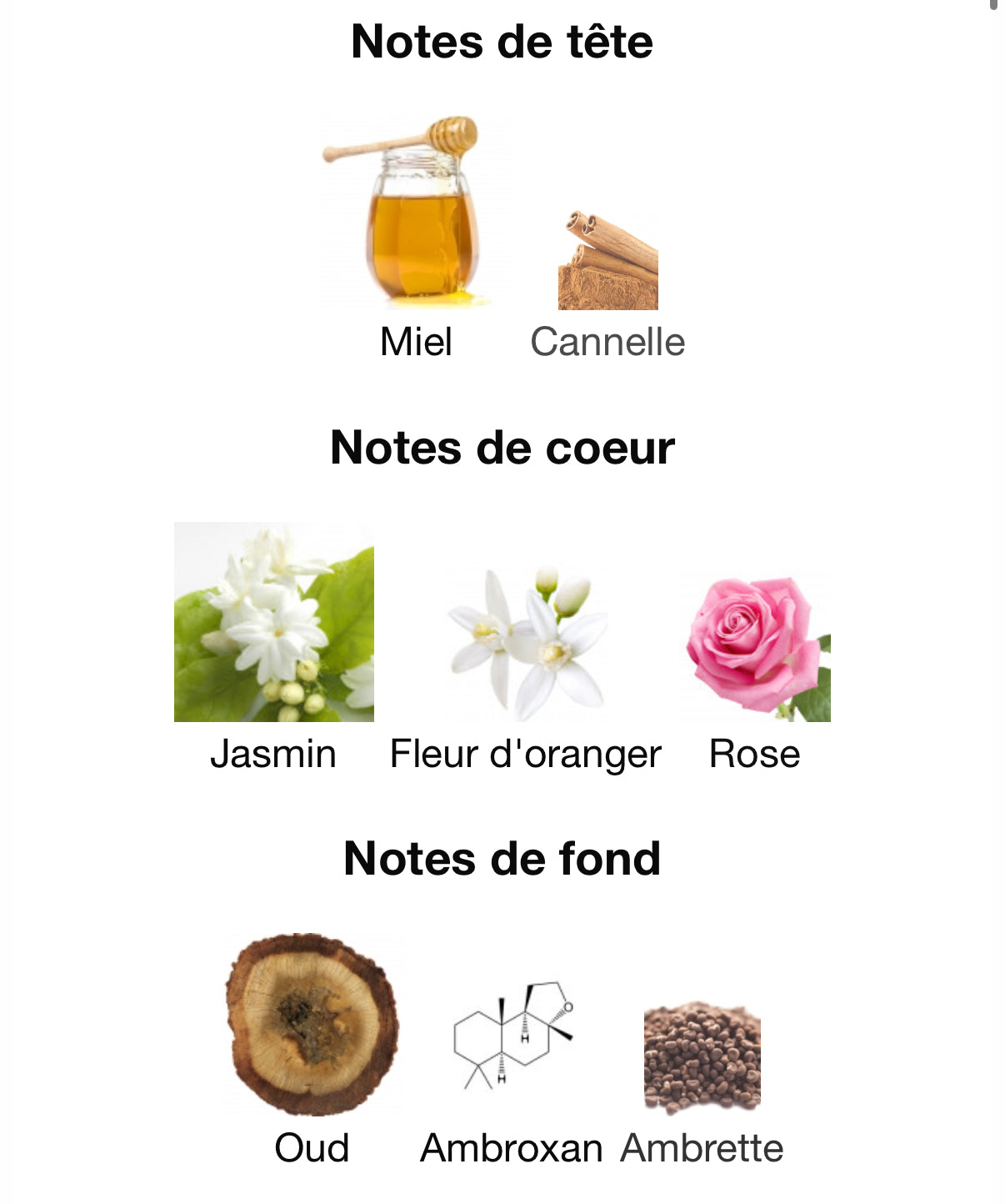 Fleur du désert - Décant