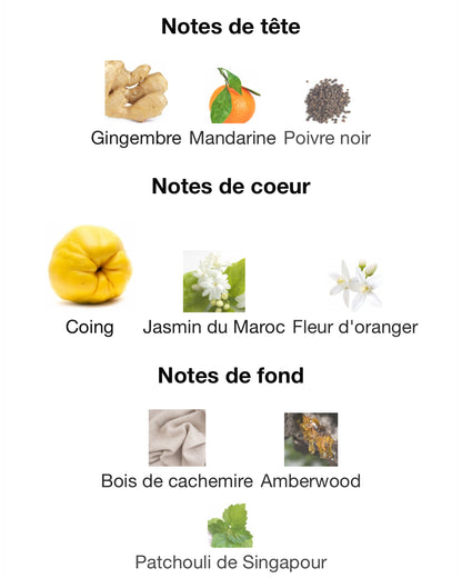 Pas Ce Soir - Décant