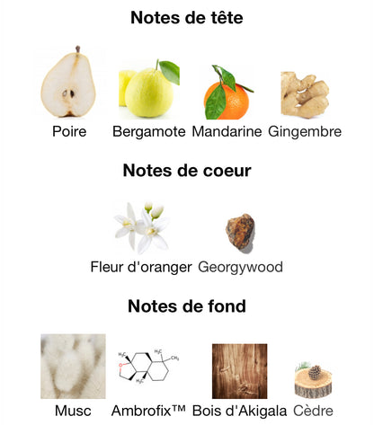 Blue Talisman - Décant