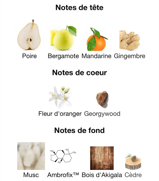 Blue Talisman - Décant