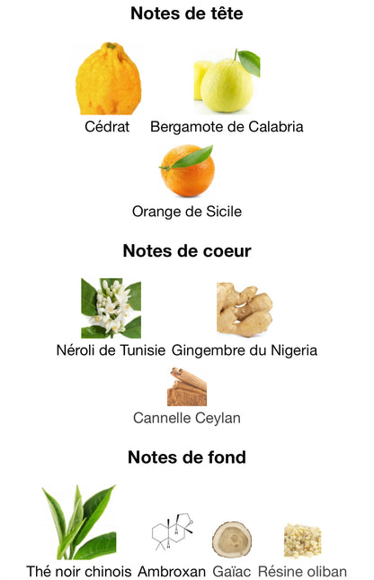 Imagination - Décant